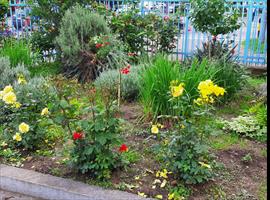 057aff18-7ea8-4db6-8f6e-cdc7eaf2a5c5.jpg